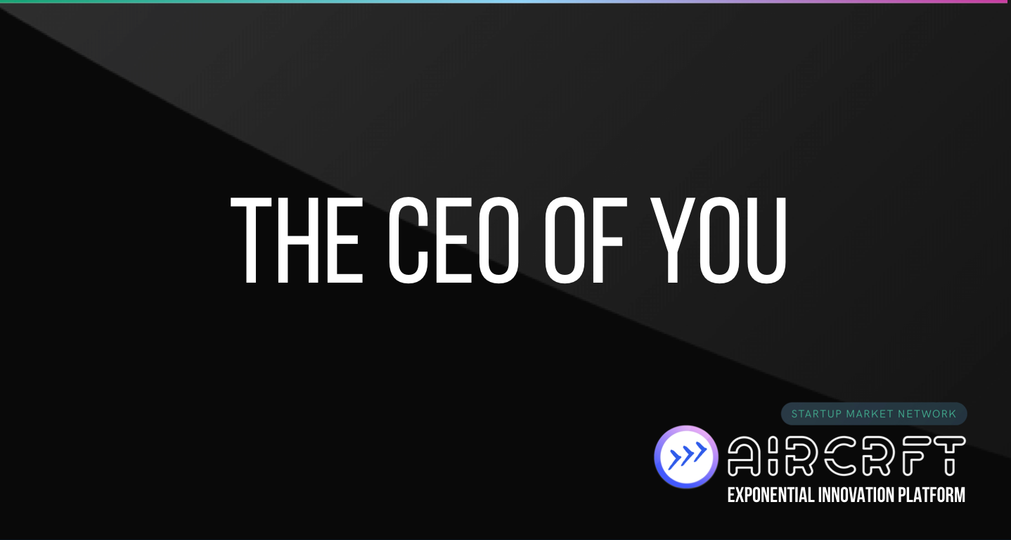 aircrft-ceo-of-you